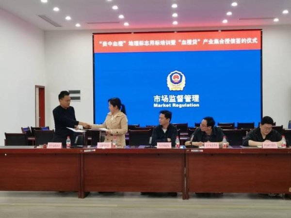 深圳股票配资门户 “资中血橙”获2000万元知识产权集合授信“金融活水”赋能地理标志产品高质量发展