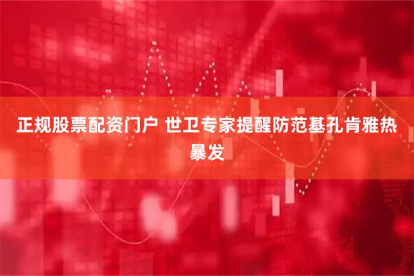 正规股票配资门户 世卫专家提醒防范基孔肯雅热暴发