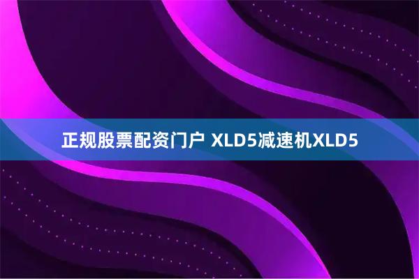 正规股票配资门户 XLD5减速机XLD5