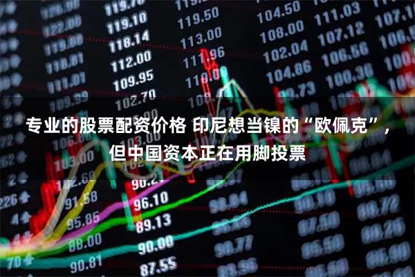 专业的股票配资价格 印尼想当镍的“欧佩克”，但中国资本正在用脚投票
